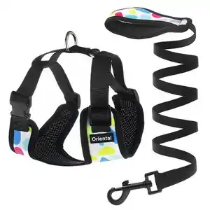 کد تخفیف تا 38% خرید قلاده سگ