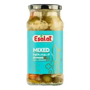 خرید انواع شور گل کلم با 26% تخفیف