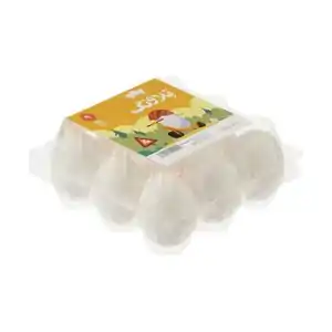 خرید انواع تخم پرنده مرغ و بلدرچین با 5% تخفیف