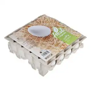 خرید انواع تخم پرنده مرغ و بلدرچین با 27% تخفیف