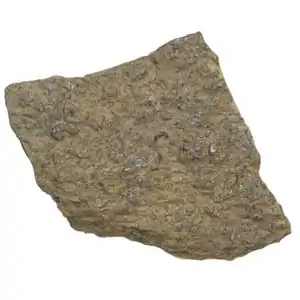 فروش لوازم تزیینات منزل تا 80% تخفیف