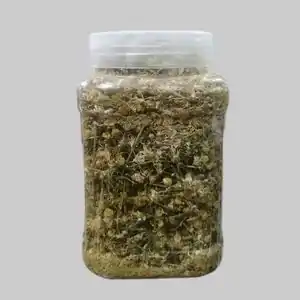 خرید انواع نسکافه با 69% تخفیف