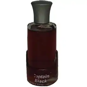 تخفیف 84% خرید بهترین عطر مردانه