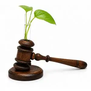 تخفیف تا 73% خرید گل و گیاه مصنوعی