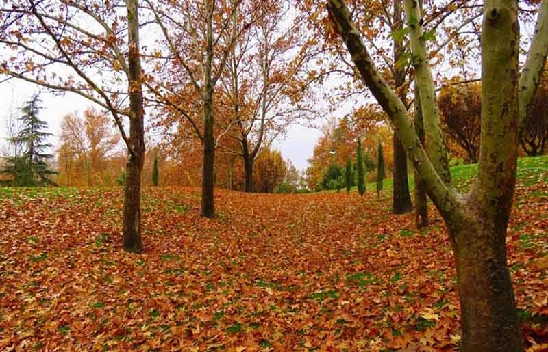 پاییز تهران