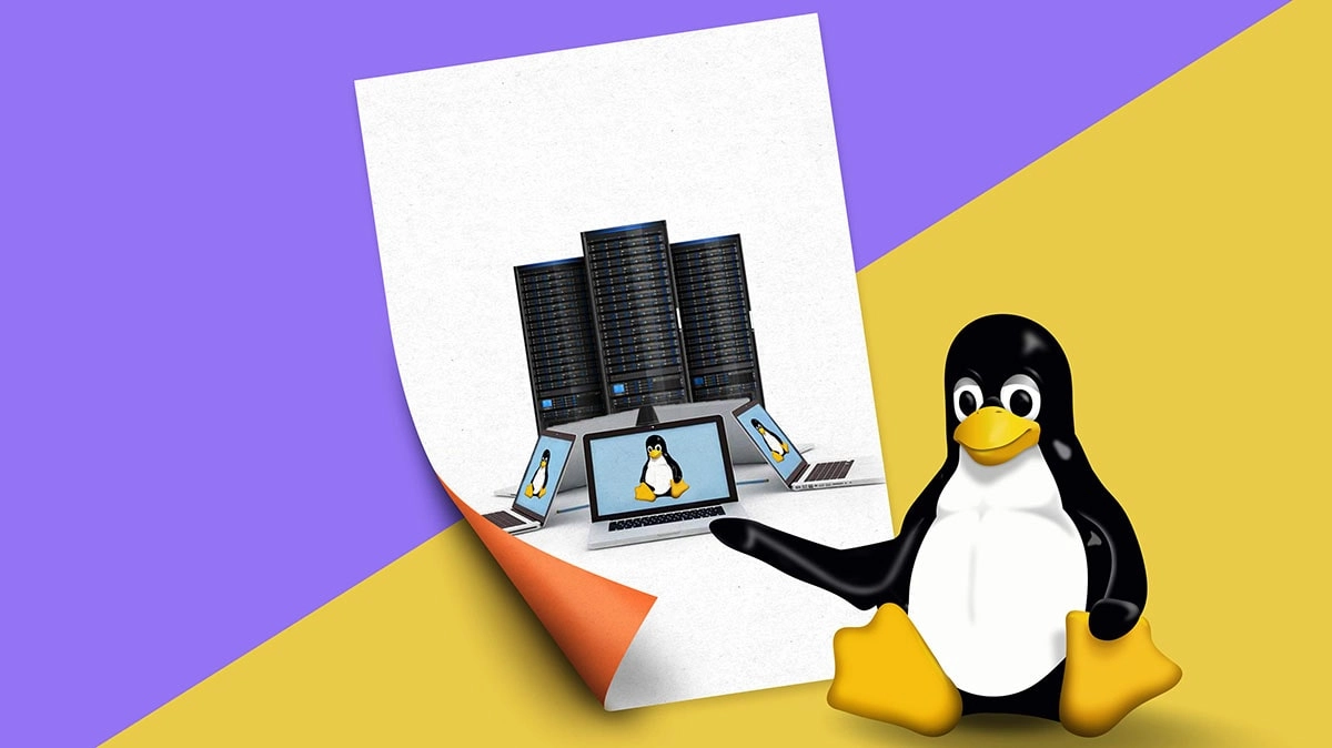 هاست لینوکس