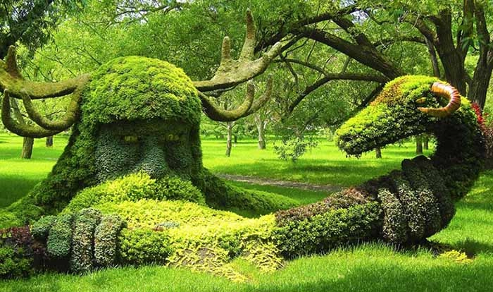 موزه گیا شناسی