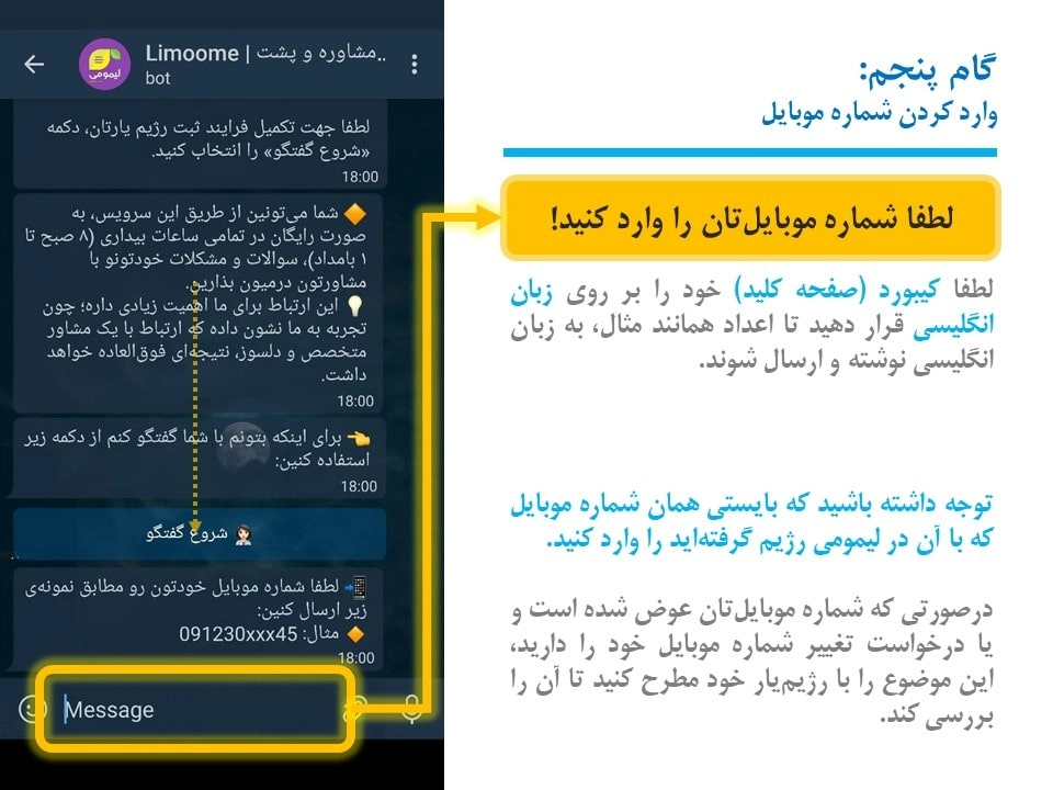 مشاوره و پشتیبانی لیمومی