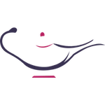 کد تخفیف شیک شیم