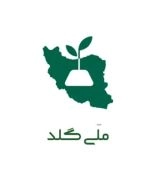 کد تخفیف ملی گلد